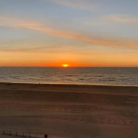 Apartment In Koksijde Near The Beach, Cleaning Included 아파트