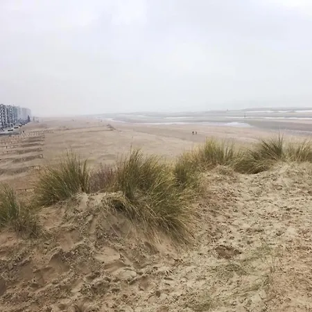 Apartment In Koksijde Near The Beach, Cleaning Included *