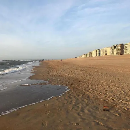 Apartment In Koksijde Near The Beach, Cleaning Included Apartment
