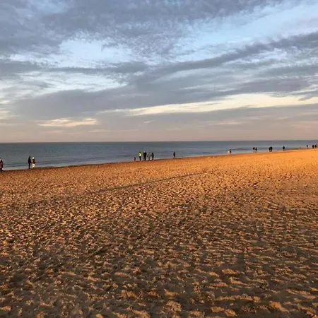 Apartment In Koksijde Near The Beach, Cleaning Included 코크시데