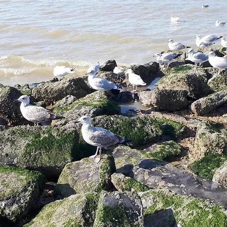 Spacious Duplex In Near Beach, Cleaning Included *